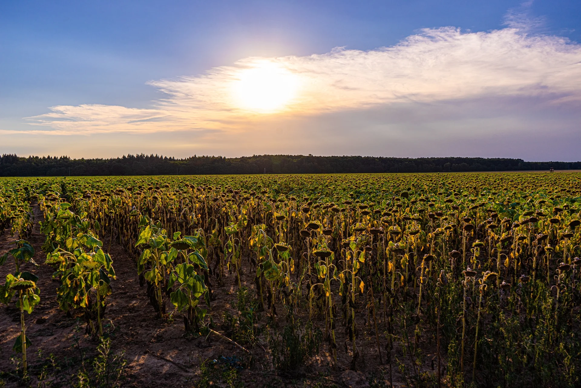 L’avenir de l’été se joue 15 km au-dessus de nos têtes