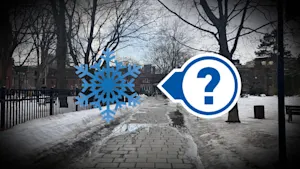 Neige dans le sud du Québec : restera-t-elle longtemps? La réponse ici. 