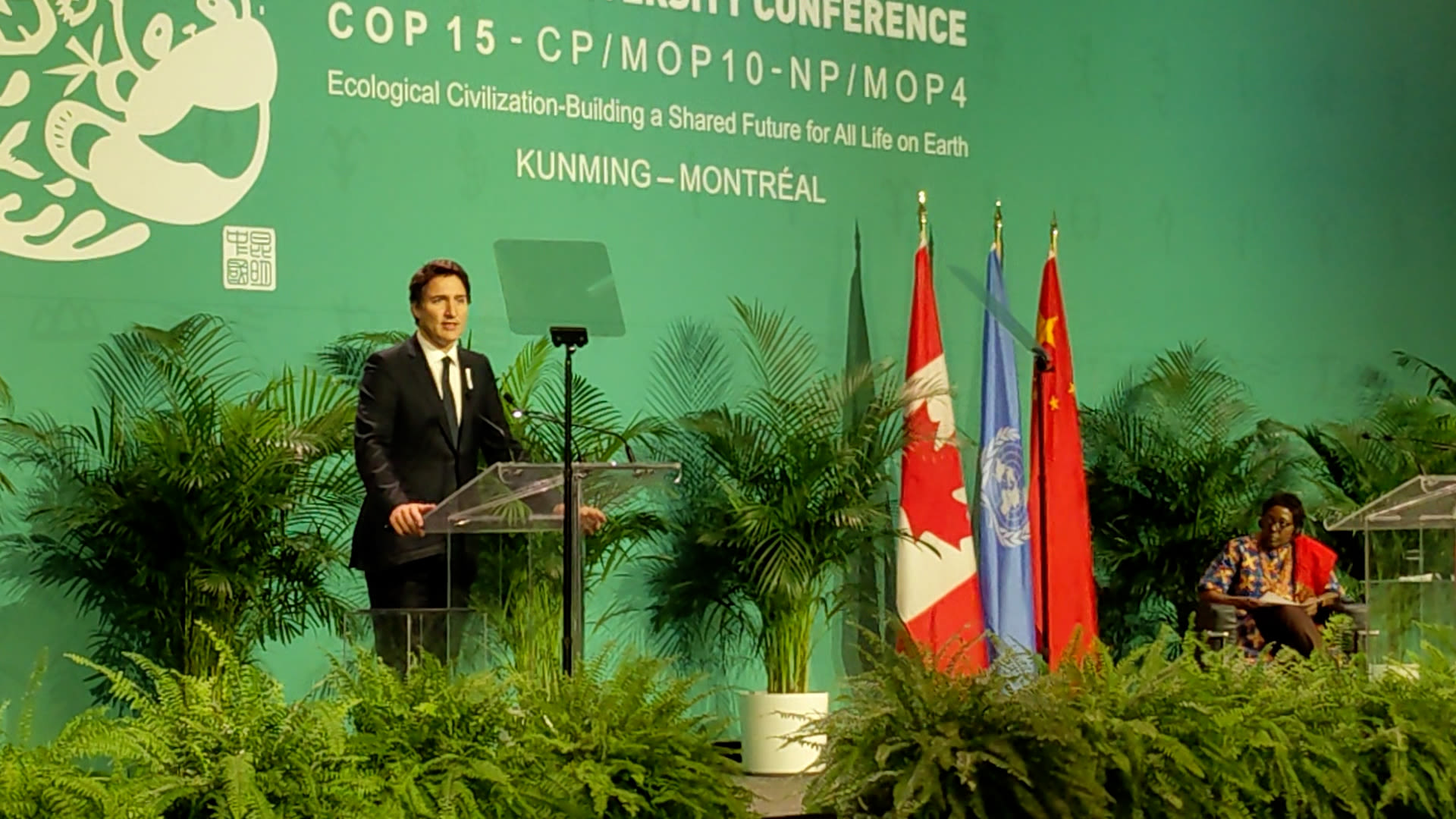 Global deal reached to reverse nature loss, protect land and oceans ...