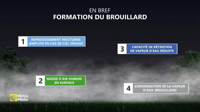 BROUILLARD3