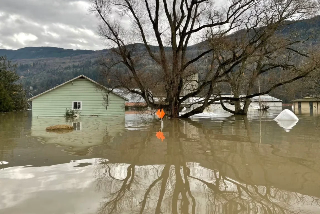 Flooding in Sumas Prairie near Abbotsford, B.C/Oliver Walters/CBC