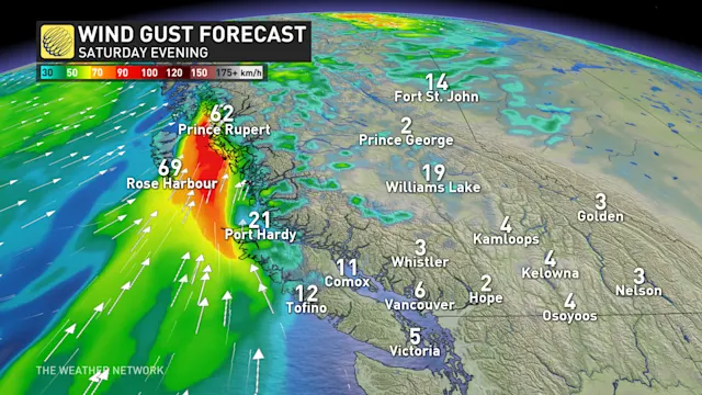 Problematic atmospheric river will deliver sopping rains to B.C.'s ...