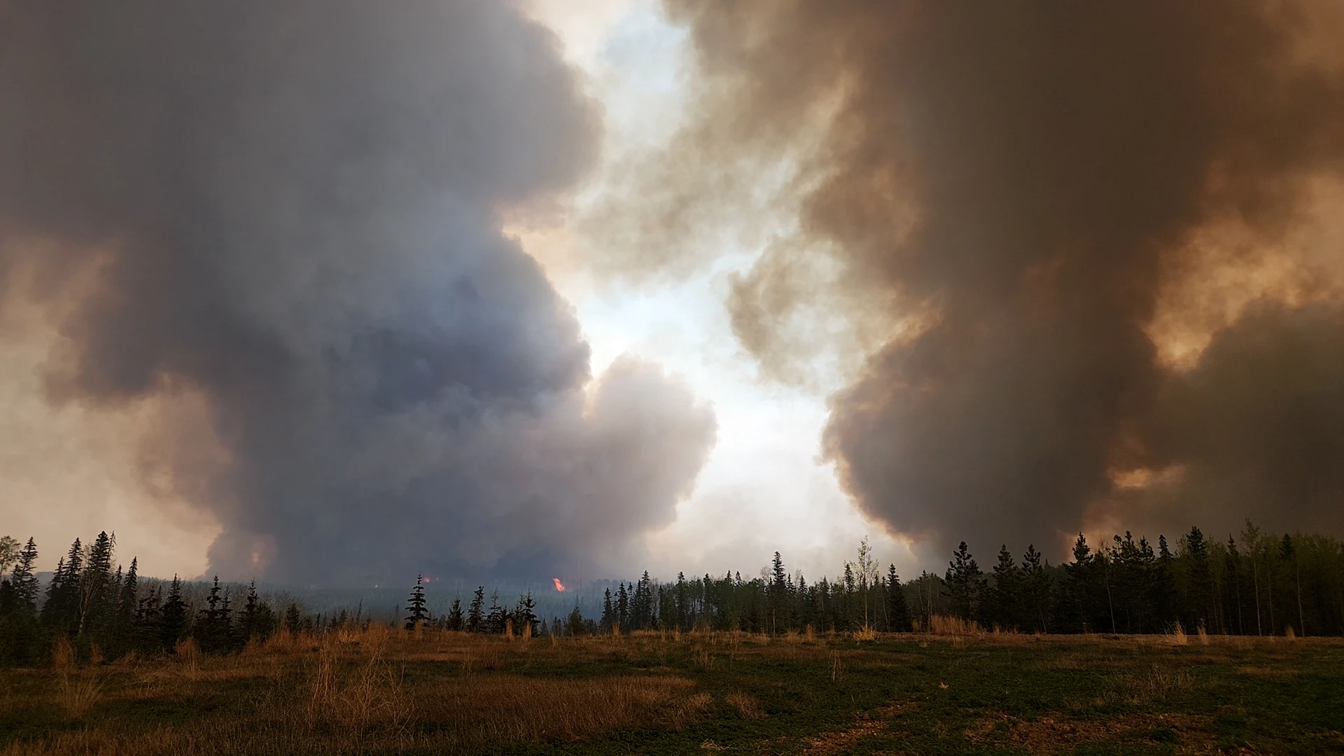 Alberta smashes annual wildland burned record by mid-June