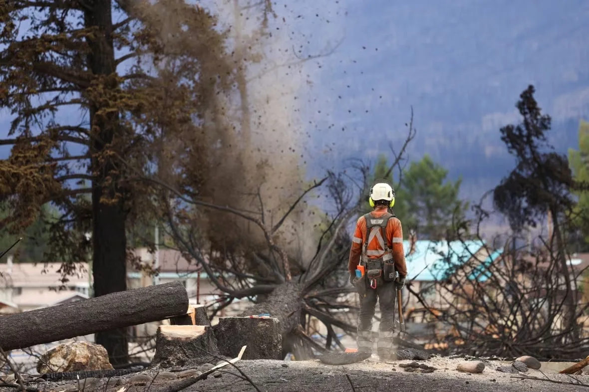 danger-tree-felling-in-the-municipality-of-jasper-july-31-2024/Jasper National Park/Facebook via CBC