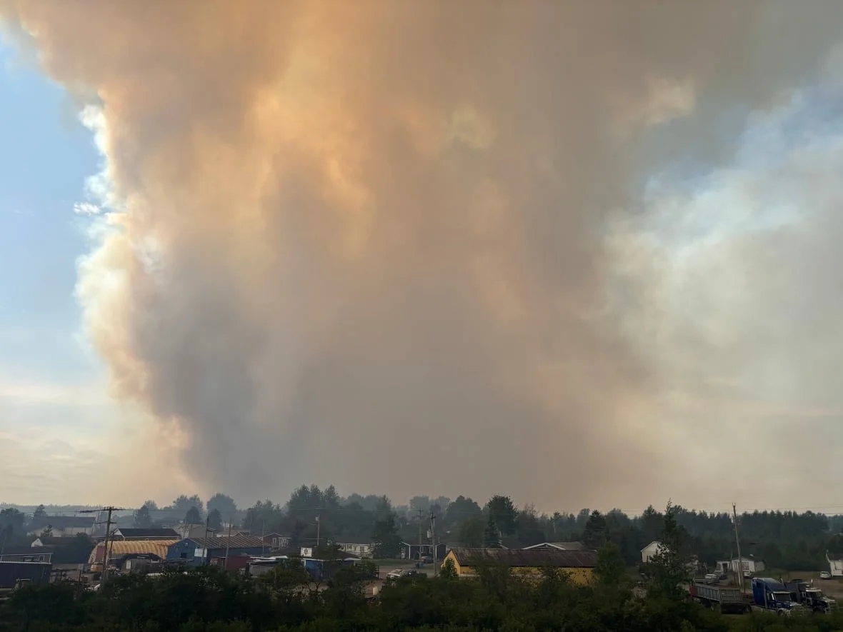 A fire burns near Badger, N.L. on June 18, 2025. (Colleen Connors/CBC)