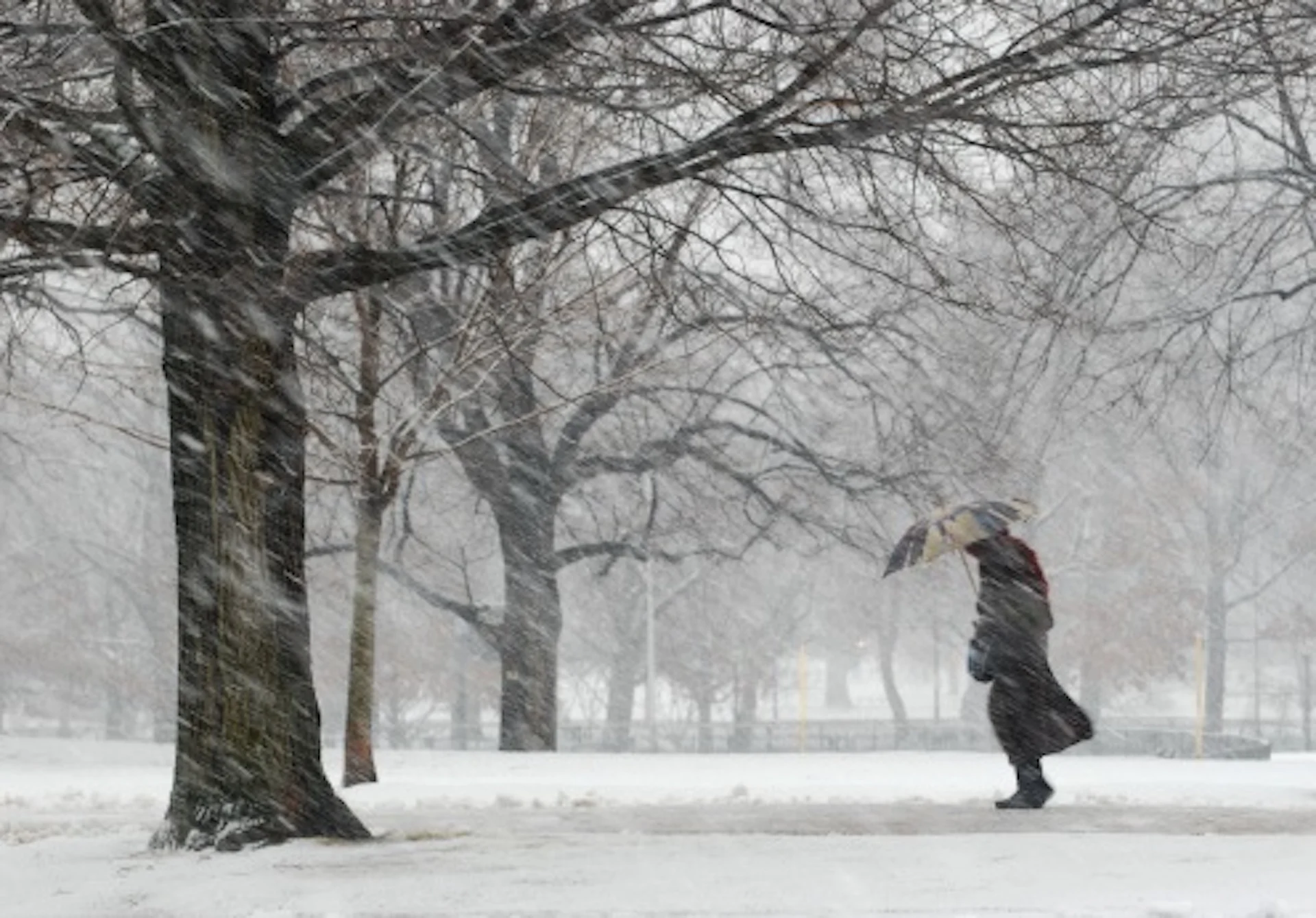 Snow totals pile up further in Ontario as lake-effect goes to work