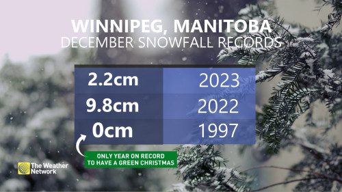 Peaceful snow in Winnipeg Manitoba Canada