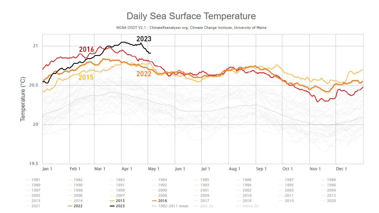 Daily Sea Surface Temperatures - 2015-2016 v 2022-2023 - ClimateReanalyzer 