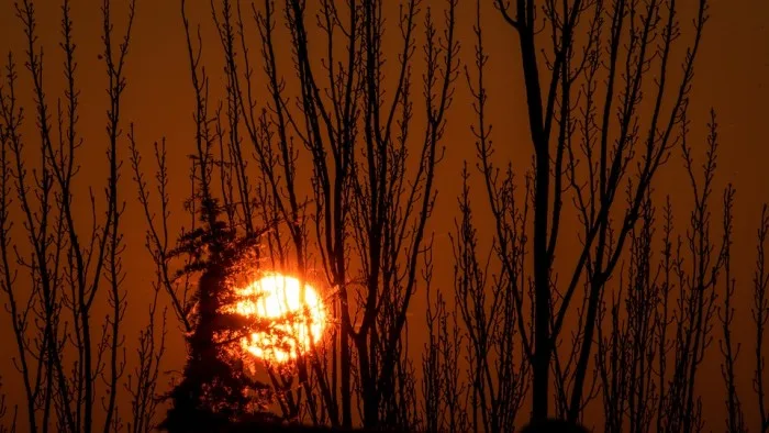  2020, aussi chaude qu’une année El Niño