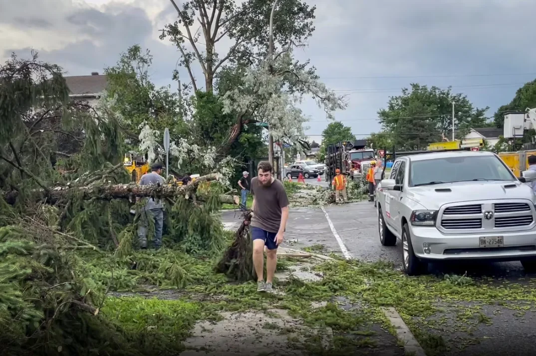 CBC: A man drags debris from a fallen tree along a sidewalk in Barrhaven on July 13 after an EF-1 tornado passed through the neighbourhood. (CBC)