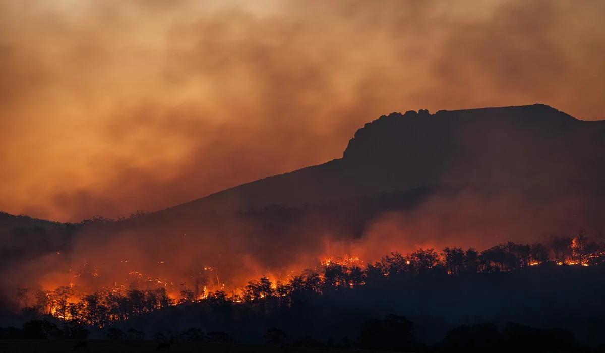 Les feux de forêt peuvent-ils augmenter le risque de cancer?