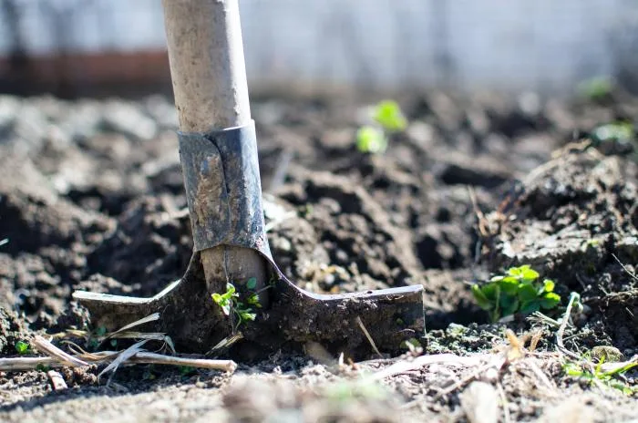 Cinq trucs pour faire vos travaux d’extérieur en toute sécurité