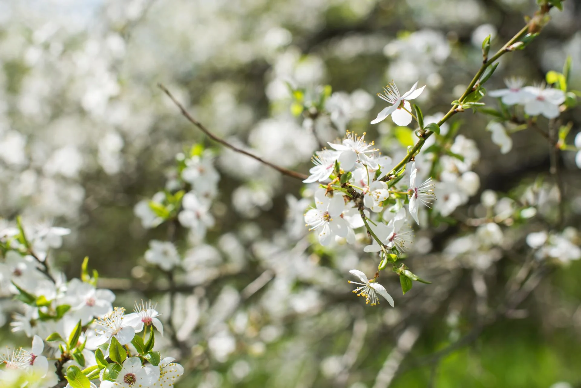 Be ready for May weather in Canada with this list of essentials