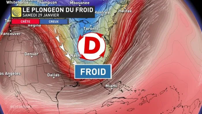 FL PATRON FROID