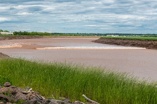 CAUGHT ON CAMERA: Man rides tidal bore in New Brunswick 