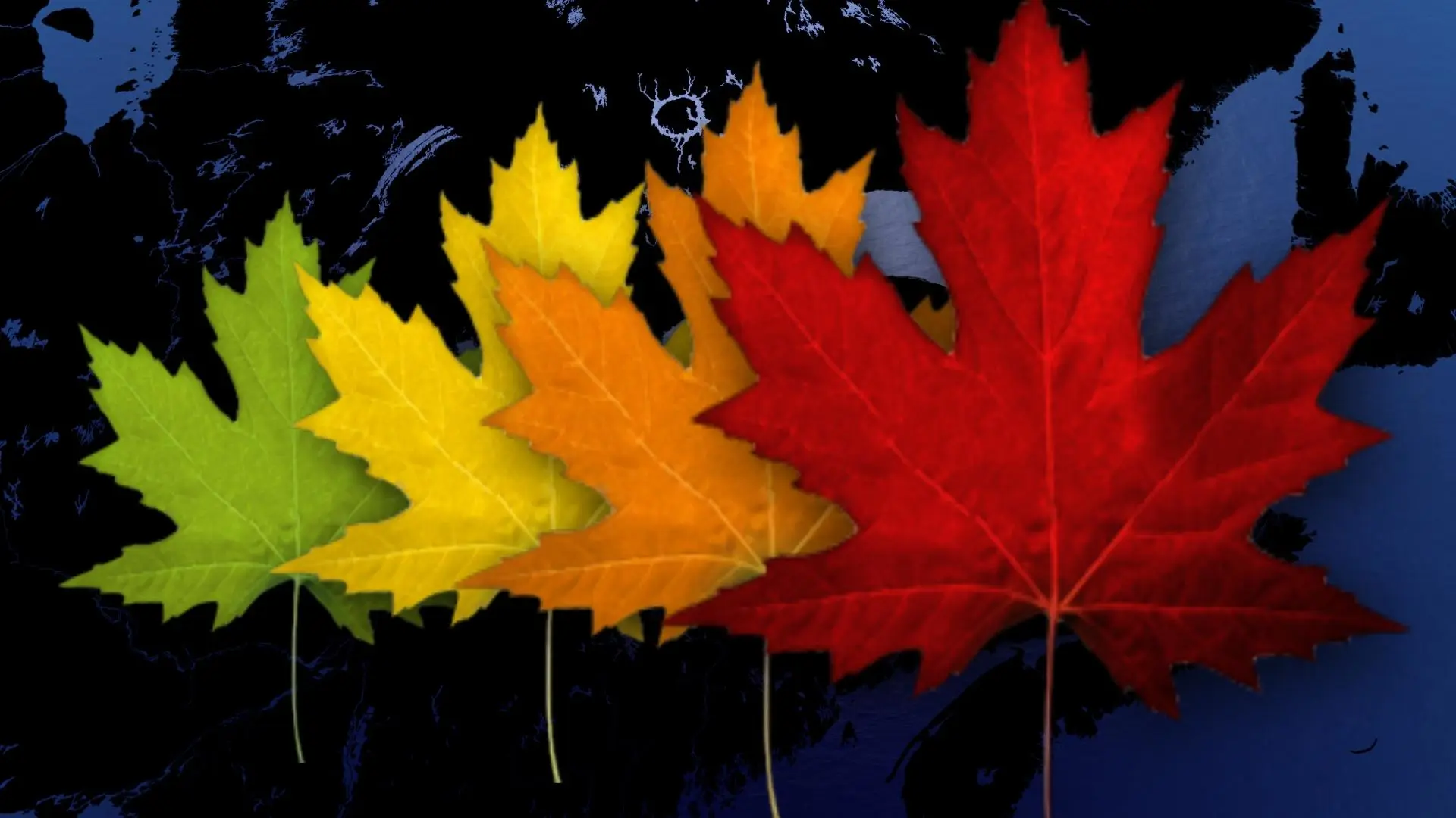 Les couleurs d'automne atteignent leur apogée ce week-end !