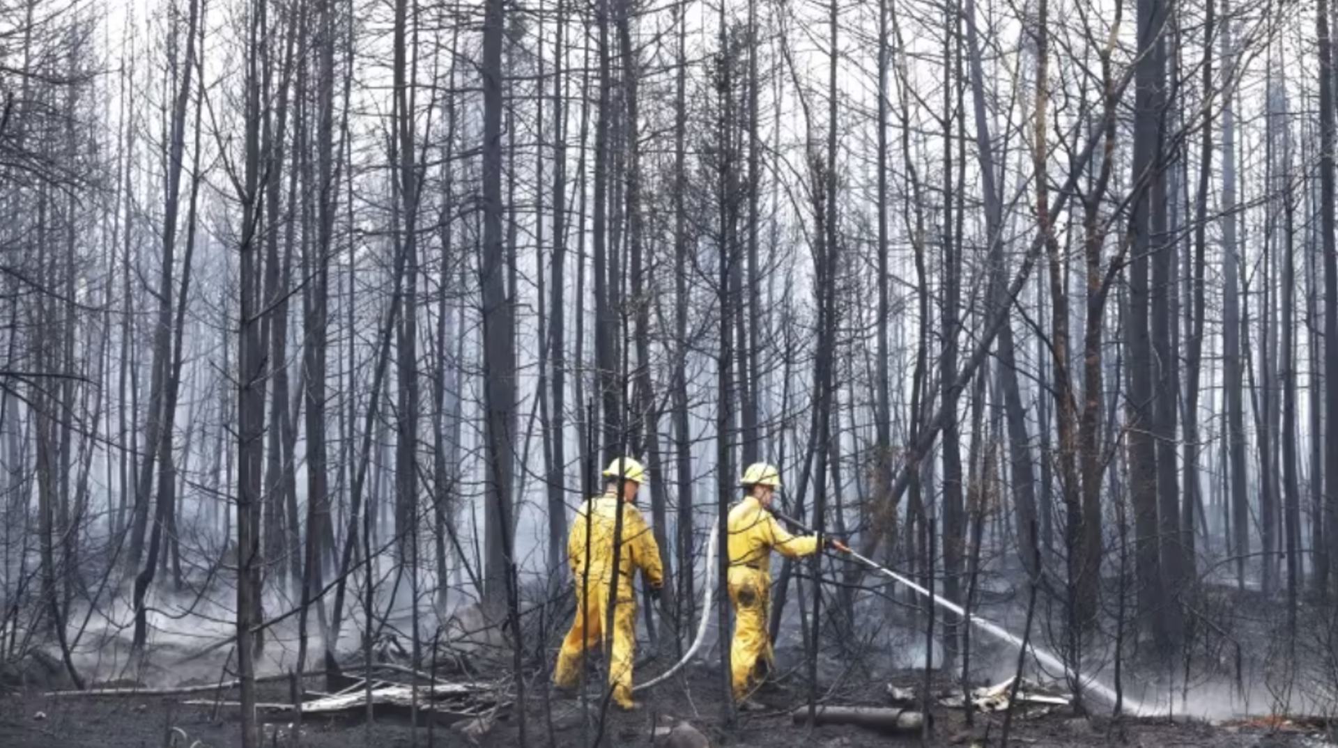 'Beautiful rainy day': Shelburne County fire out of control, but optimism rises
