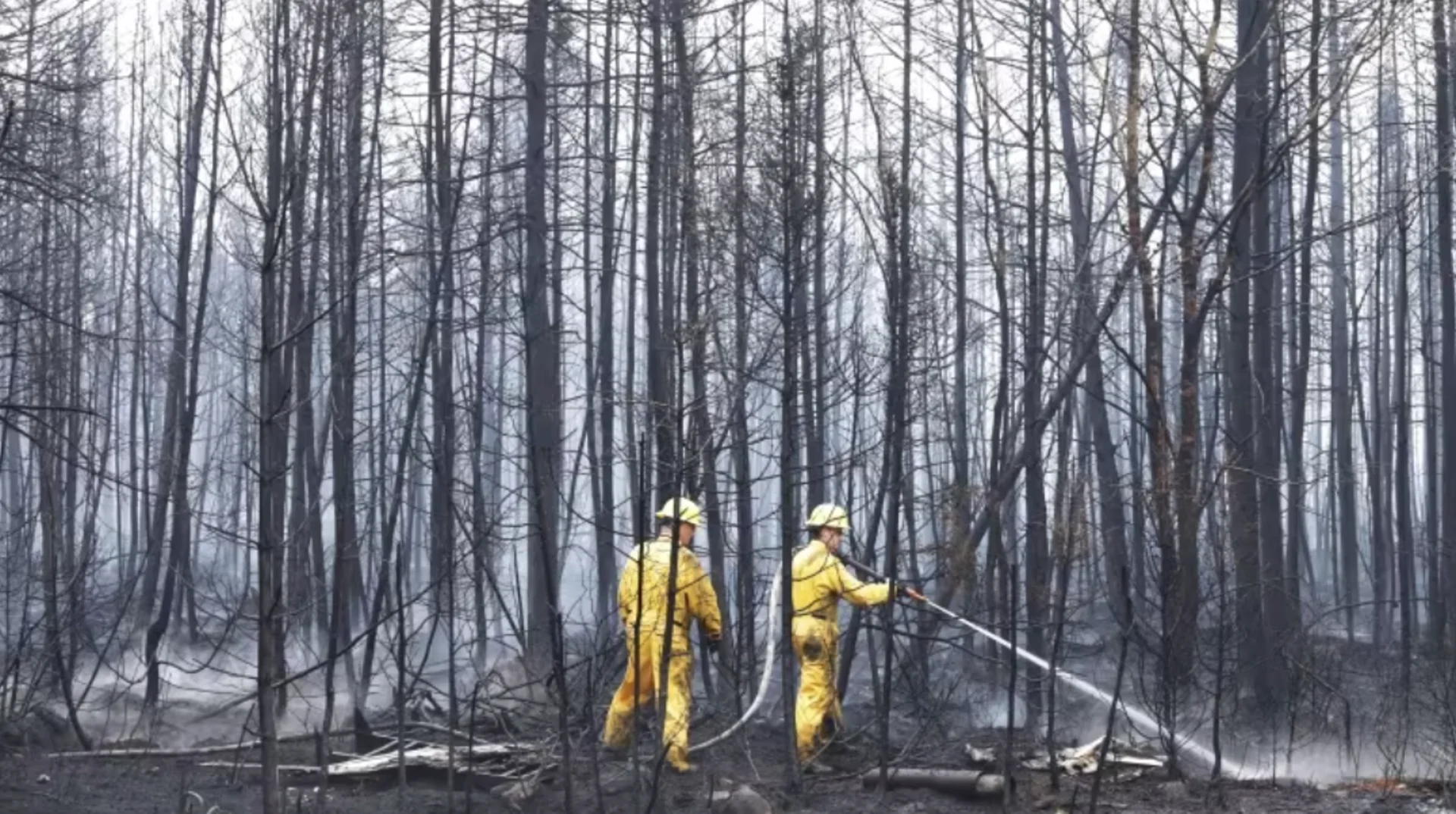 Report on 2023 N.S. wildfires highlights strengths, areas for improvement