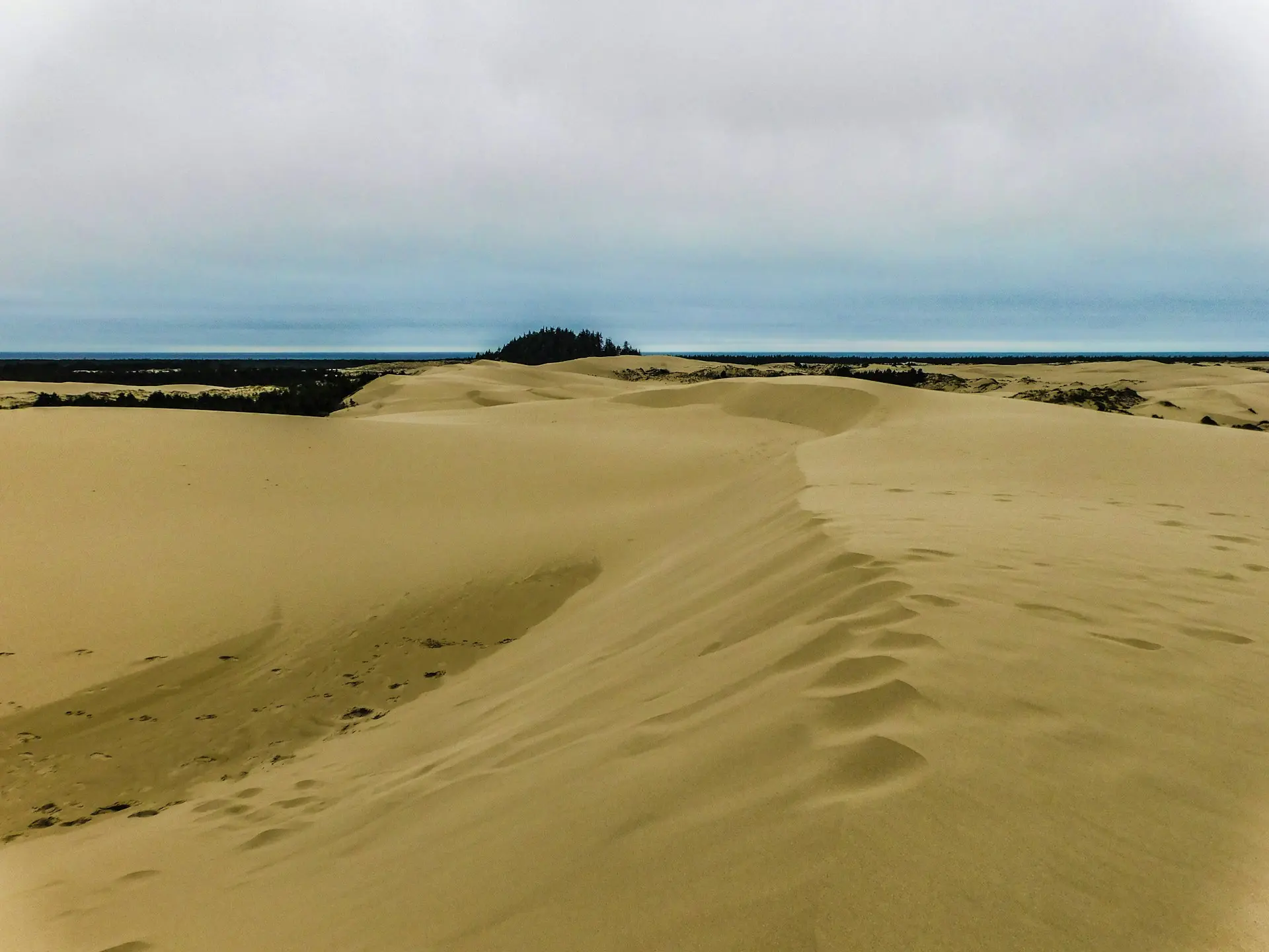 Ce projet écologique a inspiré l'histoire de Dune