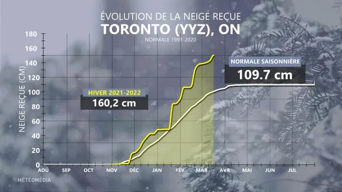 NEIGE YYZ