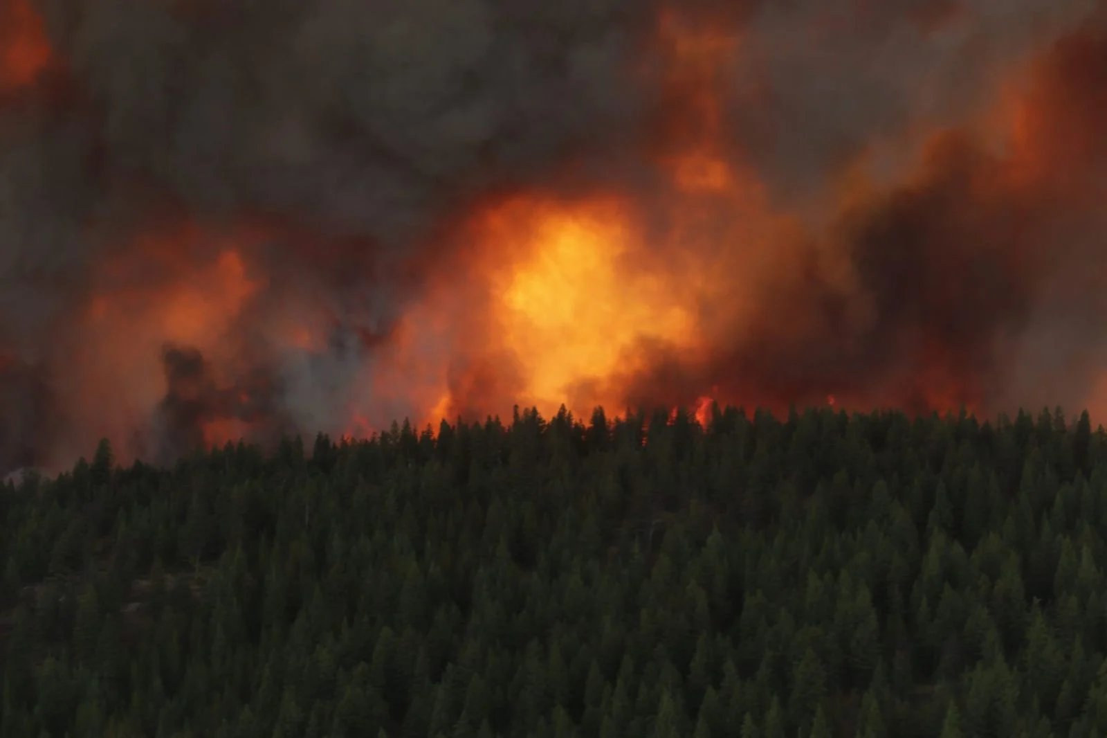 (BC WILDFIRE SERVICE) White Rock Lake BC Fire Aug 4 2021