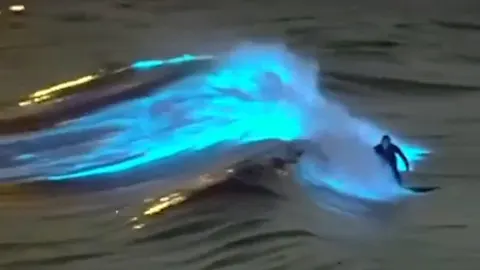 À voir: un surfeur affronte une vague bioluminescente