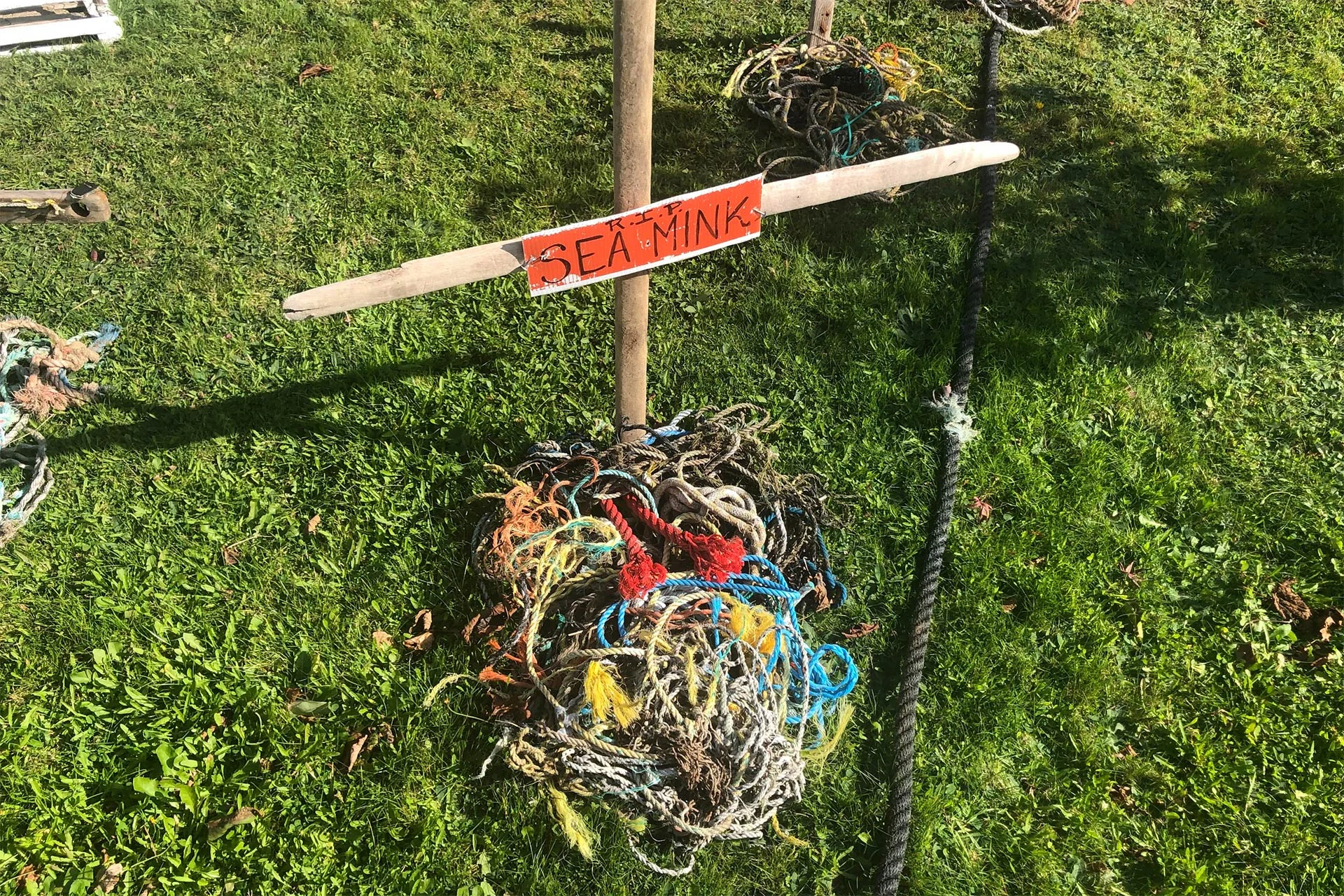 Halloween display highlights scary amount of trash on Nova Scotia shorelines