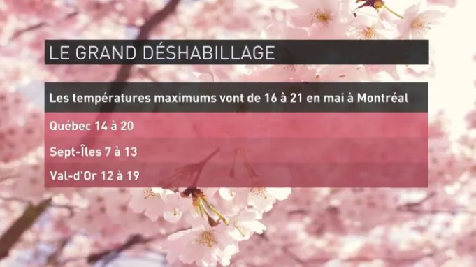 DÉSHABILLAGE