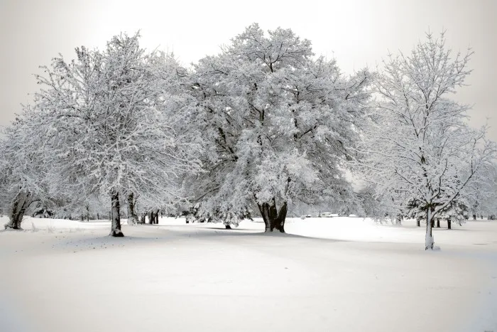 Le Québec aura-t-il droit à une tempête généralisée en décembre ?