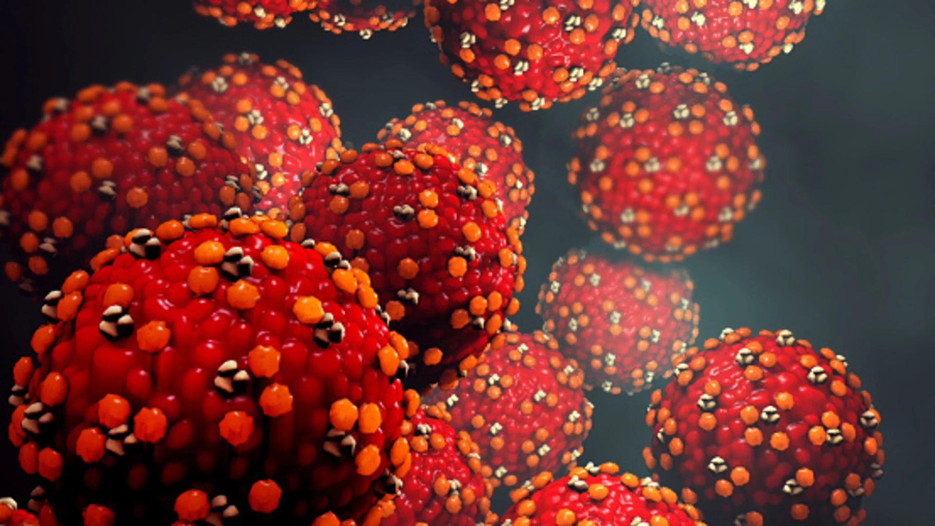 New studies highlight the link between weather and the spread of the measles virus
