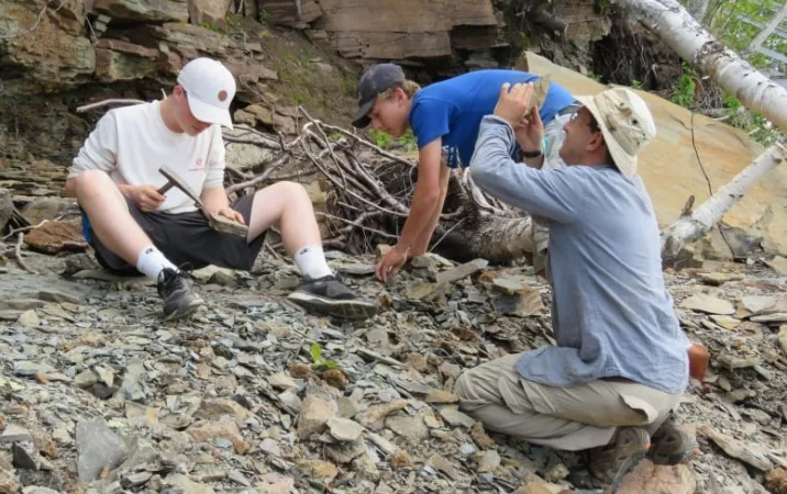 CBC FOSSILS