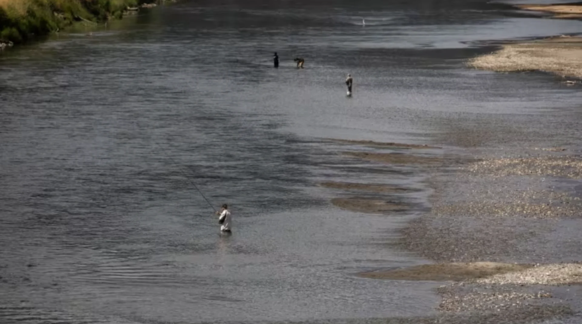 Drought conditions threatening B.C. salmon as river levels drop