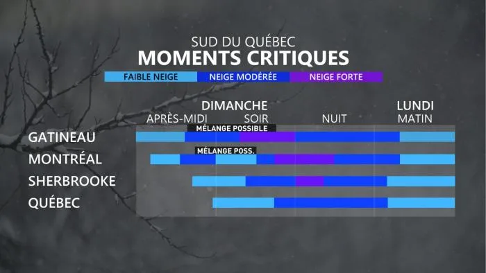 MOMENTS CRITIQUES 2