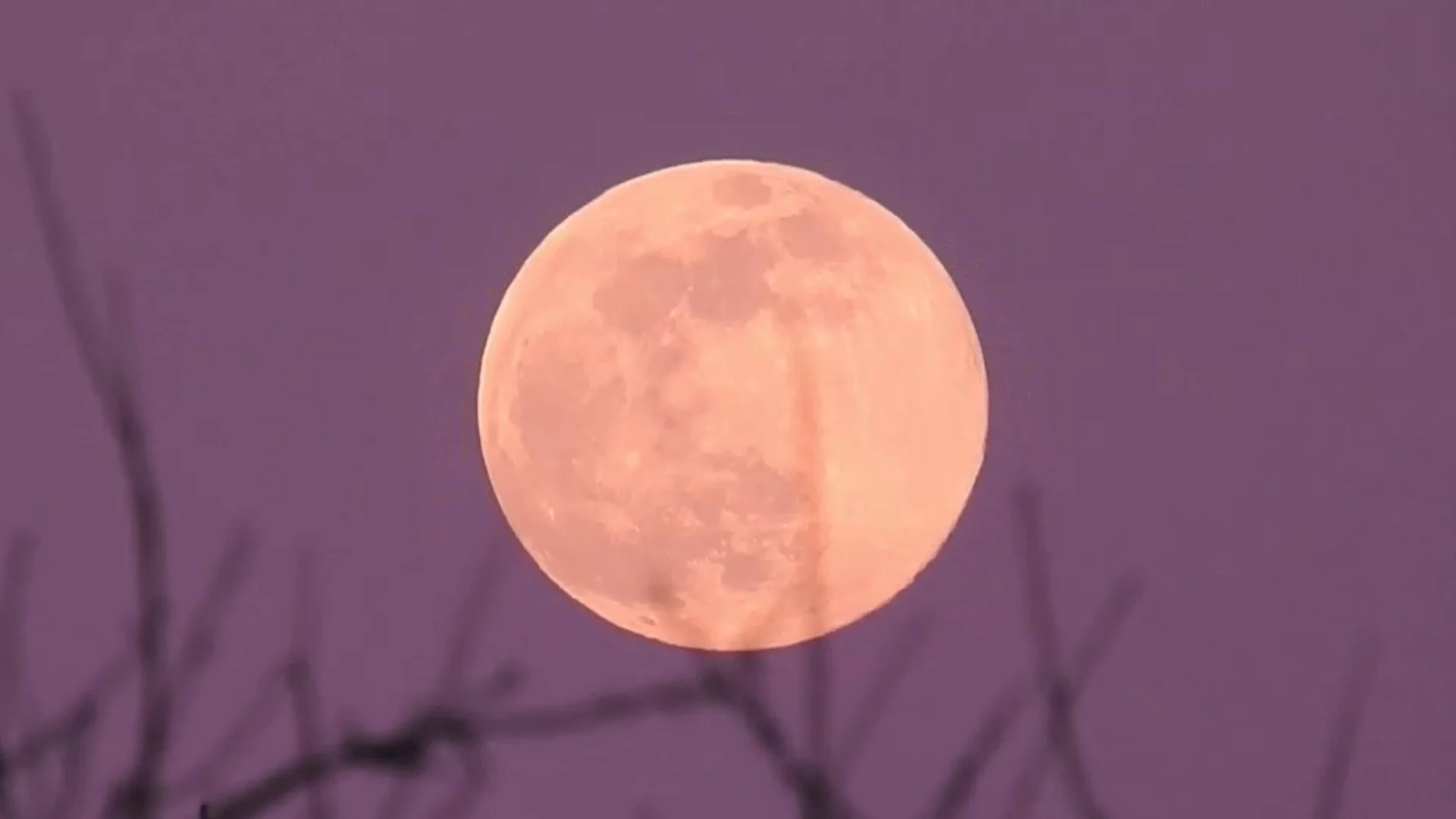 Look up Tuesday night for the Full Pink Moon