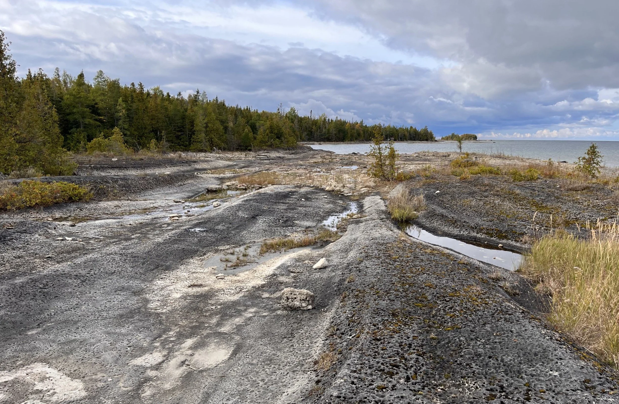 China Cove shoreline/Esme Batten/Nature Conservancy of Canada (NCC)/Submitted