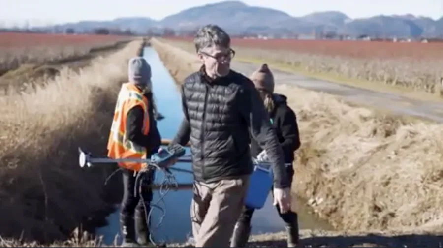 Pesticides and pharmaceuticals: B.C. waters contaminated following 2021 floods