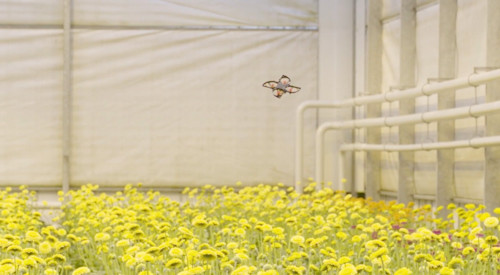 Dutch firm uses drones to protect crops from pesky critters The