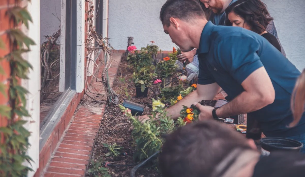 Jardinage : donnez une deuxième vie à vos légumes !