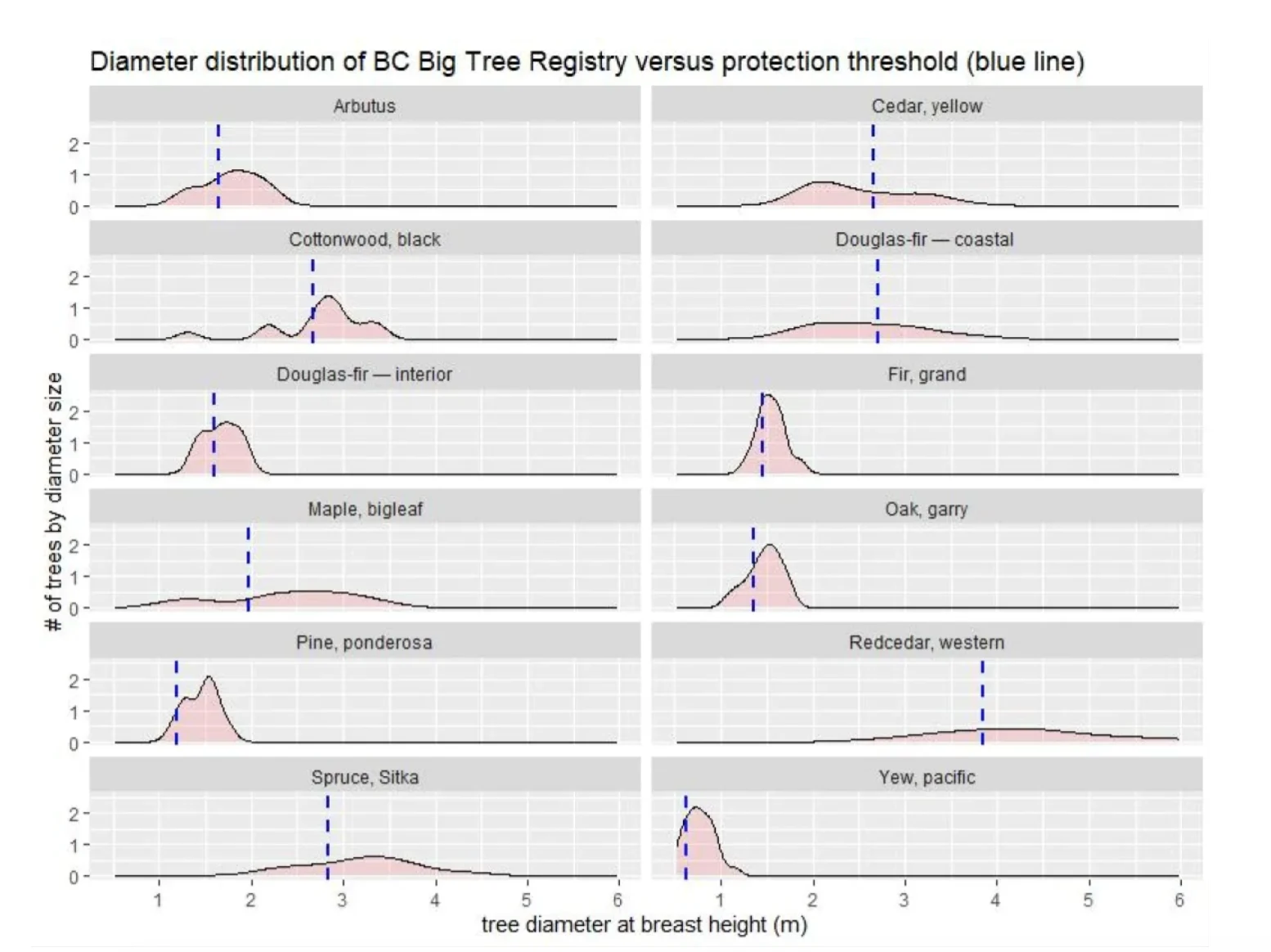 Only the very largest trees of 12 species are protected under the B.C. Special Tree Regulation put in place in 2020. This figure illustrates that many of the largest known trees in the province would be too small to receive protection. This graph tallies trees listed on UBC's Big Tree Registry, a list of the largest known trees in the province nominated by citizens and verified by experts. . (Ira Sutherland/UBC Forestry Program)