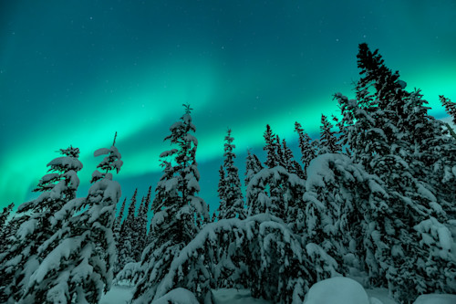 Experiencing Canada Yukon