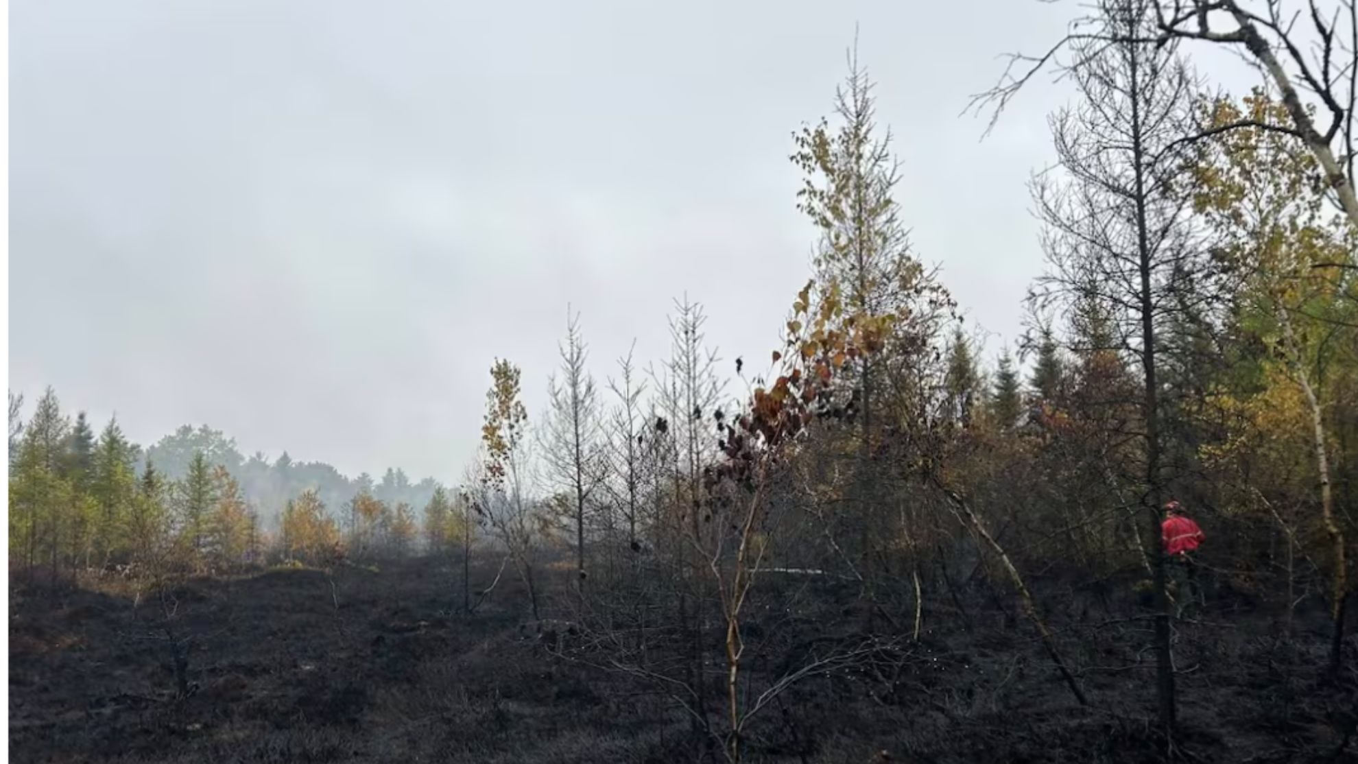 Bog, forest fire in North Dundas, Ont. shrinks, but still smoulders ...