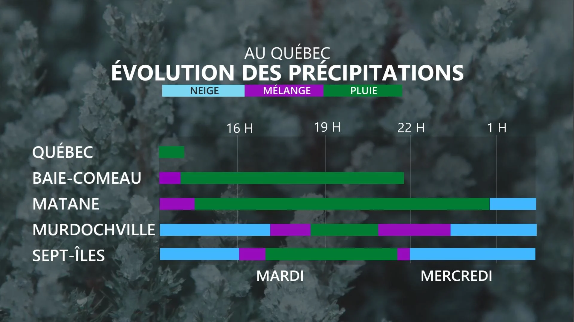 Évolution des précipitations