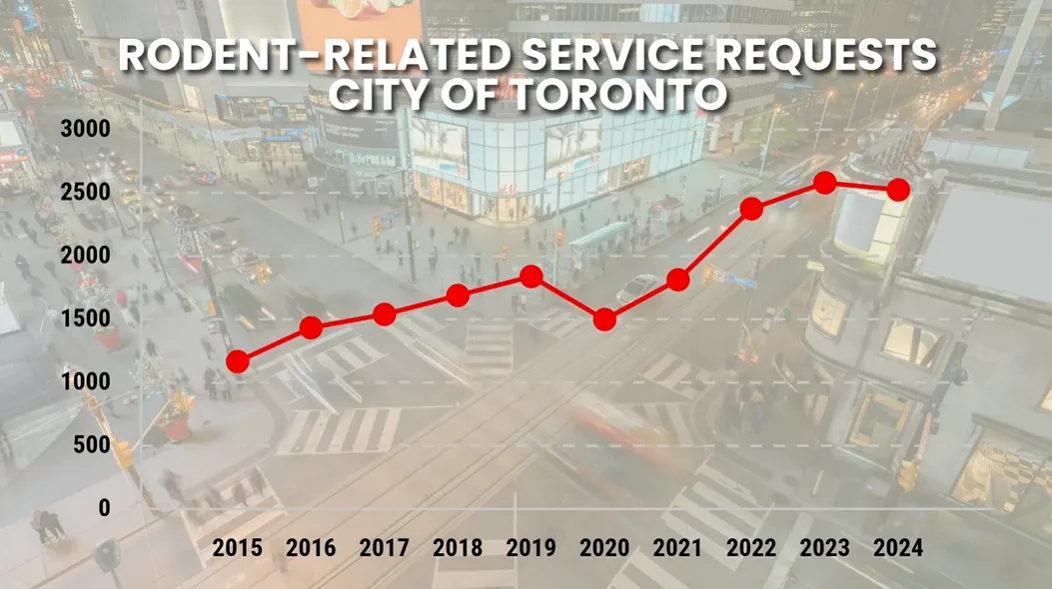 Rodent-related service requests in the city of Toronto from 2015-2024. (Lauren O'Neil)