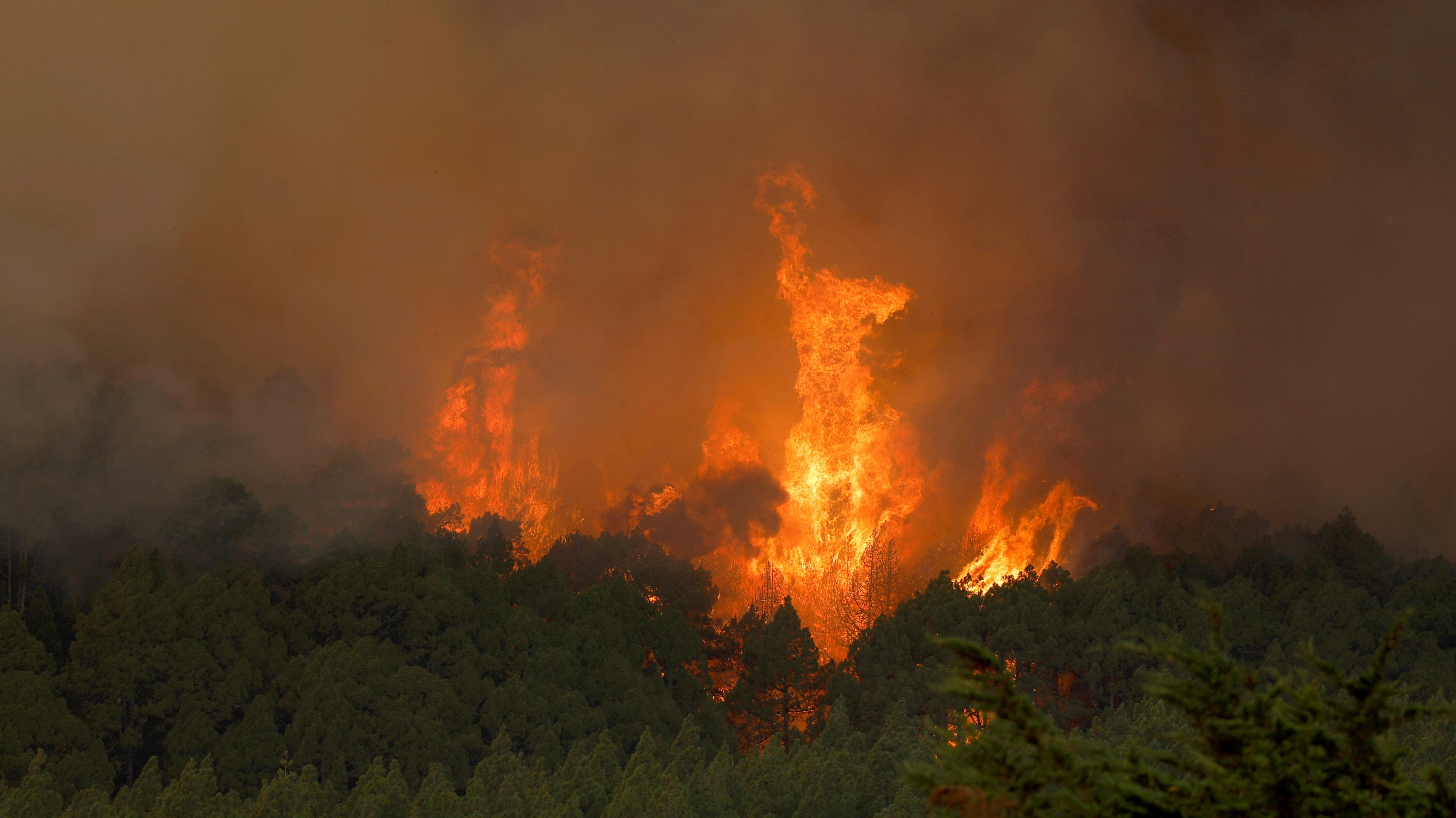 Explainer: How climate change drives heatwaves and wildfires in Europe