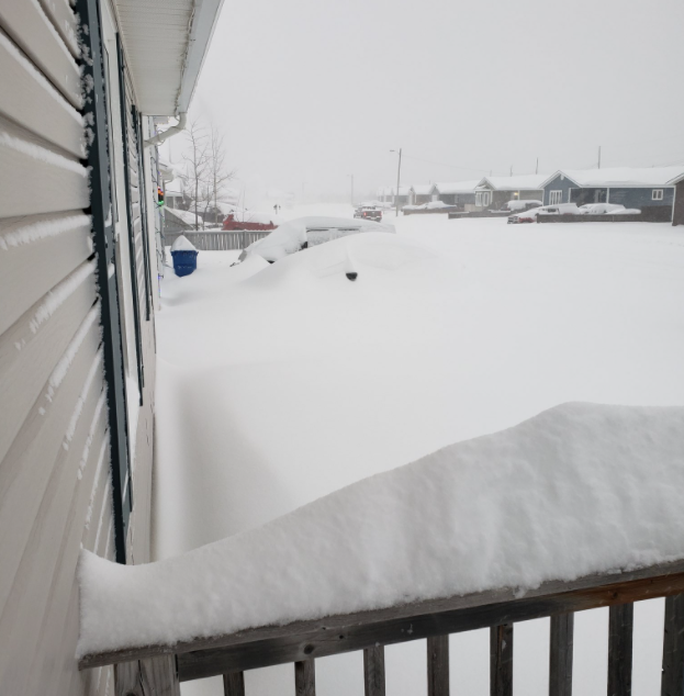 PHOTOS: Labrador buried under historic 75 cm of snow, towns shut down
