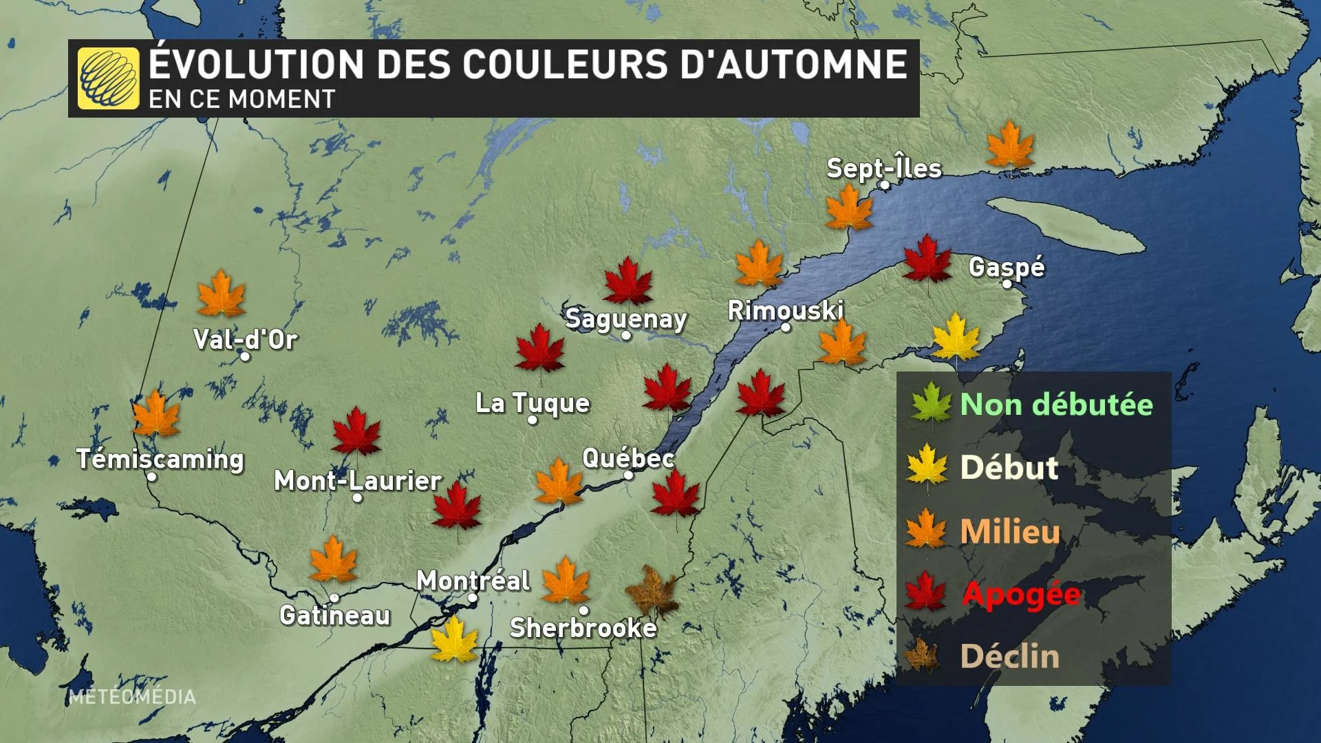 AUTOMNE 1