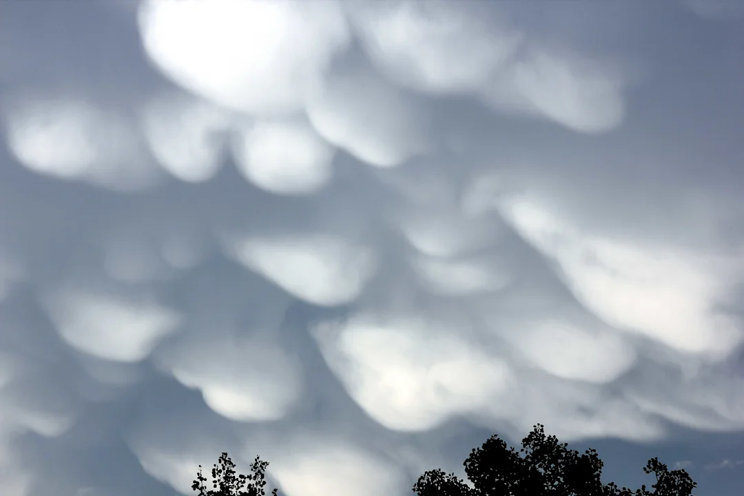 Trying to predict the weather? These eight clouds will help - The ...