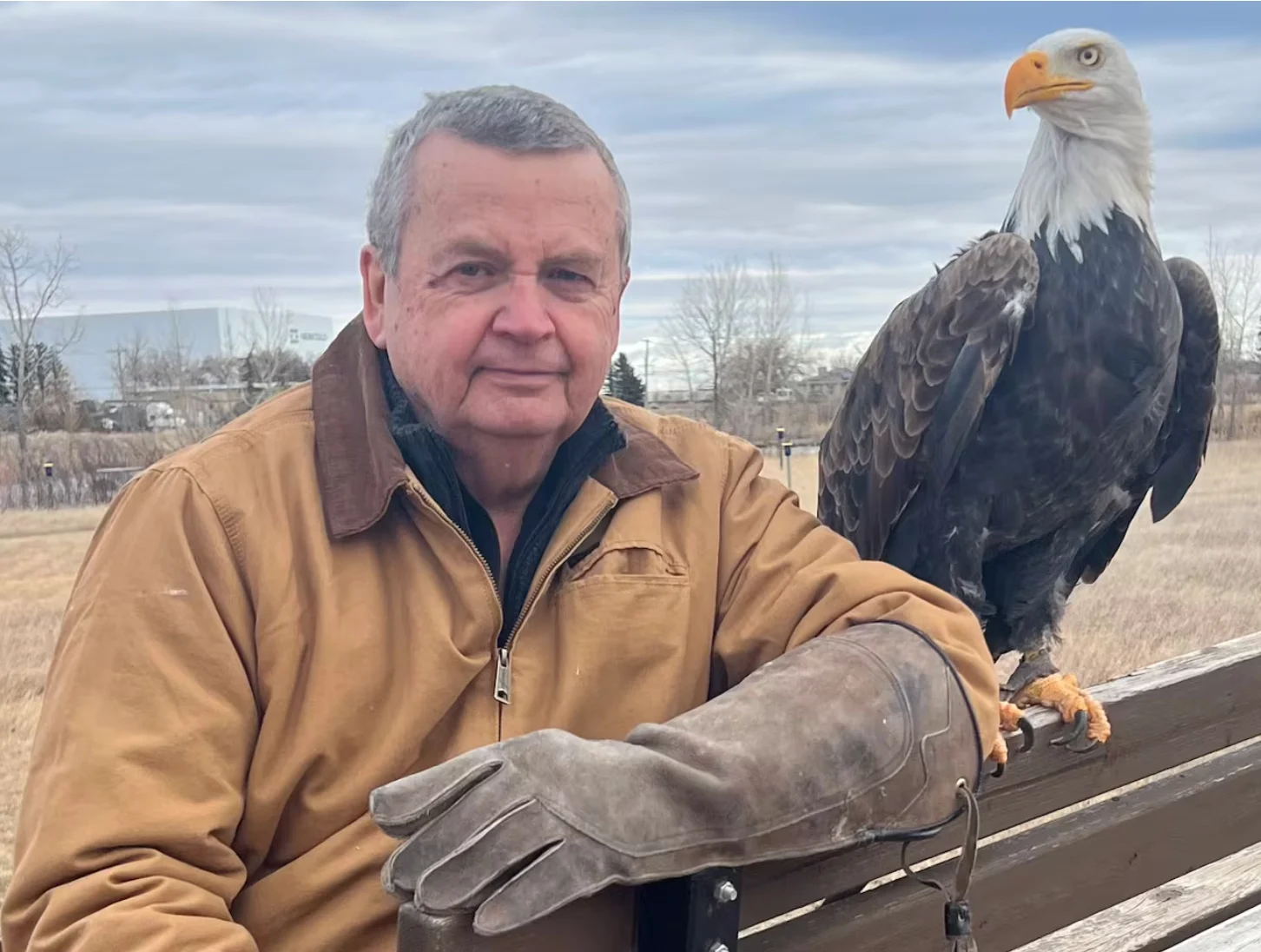 CBC: Colin Weir, managing director of the Alberta Birds of Prey Foundation, pictured with one of the several bald eagles being cared for at the facility. (Submitted by Colin Weir)