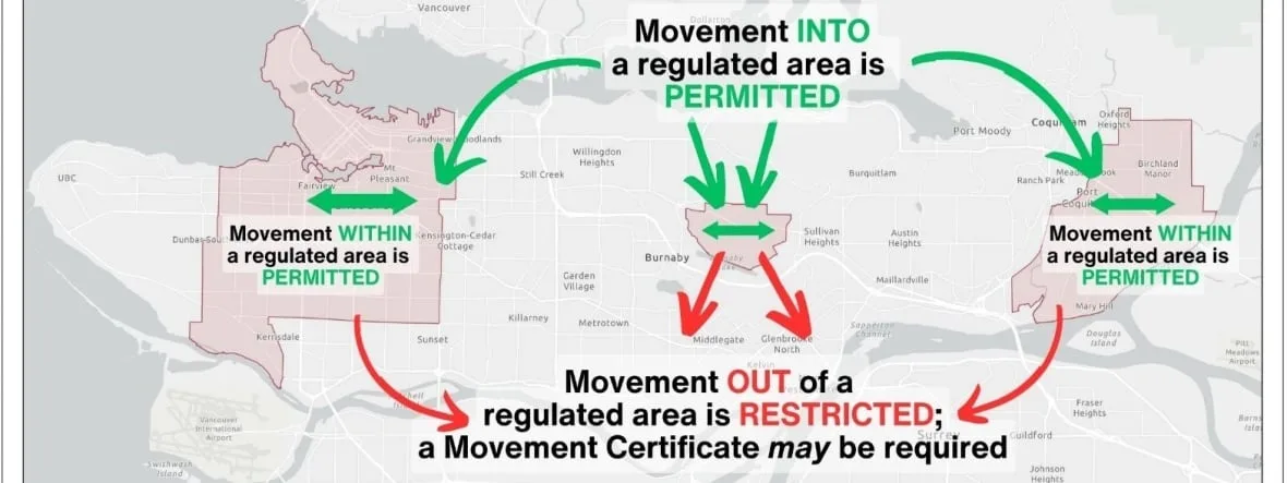 The CFIA requires anyone wanting to transport plants and soil matter outside containment zones to get a movement certificate first. (Canadian Food Inspection Agency)