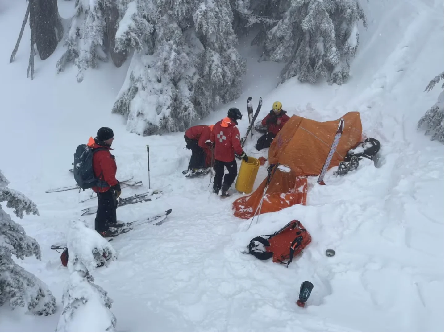 CBC: NSR says the man was able to hike back down the mountain himself, but the woman required support getting down. They said the woman had recovered enough to leave with her husband when they reached the base of Mount Seymour. (North Shore Rescue)